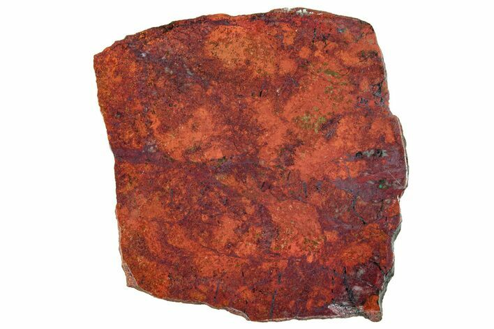 Vibrant Sonora Sunset (Chrysocolla Cuprite) Slab - Mexico #323904